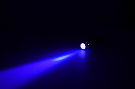 Lanterna elétrica de aço inoxidável do diodo emissor de luz Keychain da forma do tubo para a promoção do presente