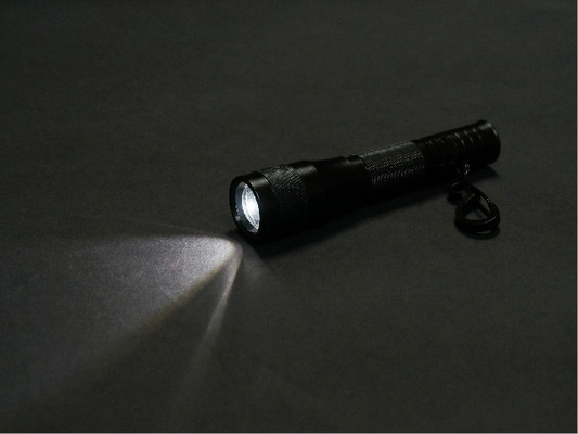 Lanterna elétrica morna do diodo emissor de luz Keychain do branco do mini zumbido com 1 * bateria seca do AAA